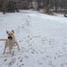 Profile Picture of Scott Doyon (@scott.doyon.37) on Facebook