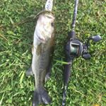 Profile Picture of Aaron Whaley (@cowboyhunter88) on Instagram