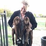 Profile Picture of Christine Coward Dean (@christinecowarddean) on Instagram