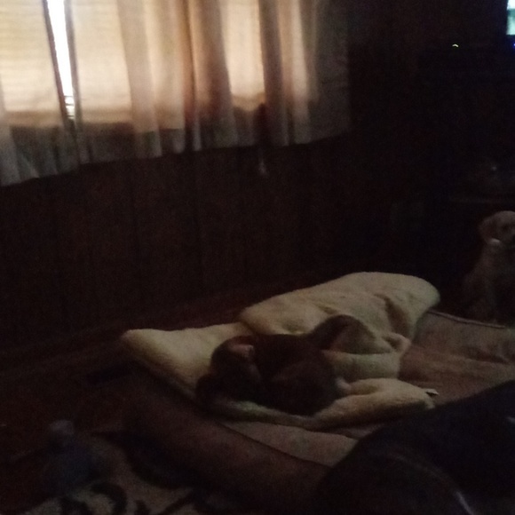 Profile Picture of Cindy Alexander (@acindy2222) on Poshmark