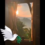 Profile Picture of Lucky Bird (@lucky.bird.371546) on Facebook