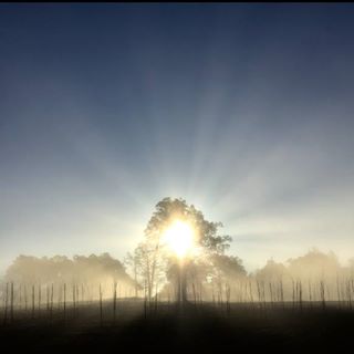 Profile Picture of Charlies Creek (@charlies.creek.75) on Facebook