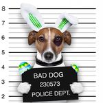 adam chalupskỳ - Instagram Profile Picture of adam chalupskỳ (@adamchalupsky) on Instagram