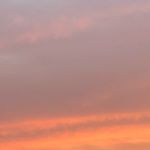 Profile Picture of Roxanne (@roxanne_waller05) on Instagram