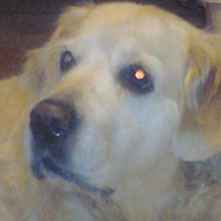 Profile Picture of Chris Chivers (@chris.chivers.16) on Facebook