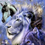 Profile Picture of Kostas Athanasis (@kostas.athanasis) on Facebook