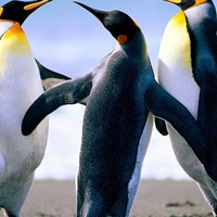 Profile Picture of Nayeli Guzman (@nayeli-guzman-23) on Quora