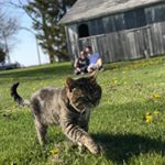 Profile Picture of Stanley Daniel Breese (@fatstanley_) on Instagram