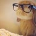 Profile Picture of Nathaniel McCarty (@nathaniel.mccarty.7) on Facebook