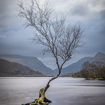 Profile Picture of Simon Nicholson (@Simon Nicholson Photography) on Flickr