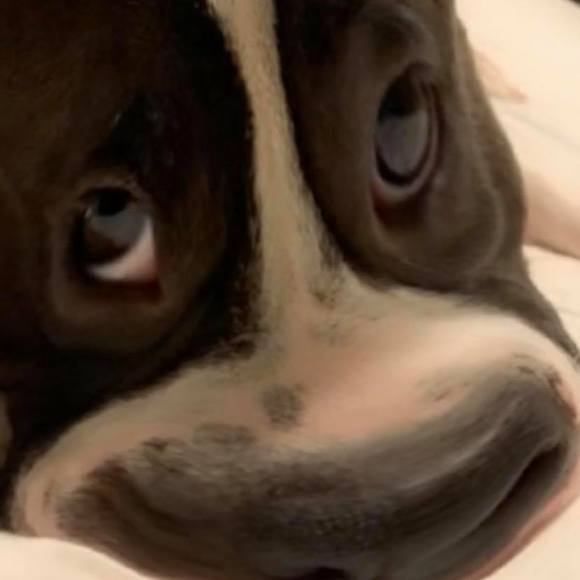 Profile Picture of Alex Oregel (@alex_oregel) on Poshmark