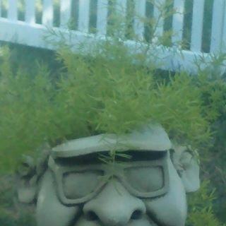 Profile Picture of Jim Burlison (@jim.burlison.5) on Facebook