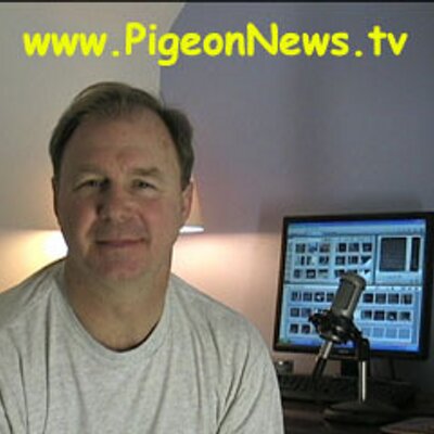 Profile Picture of John Froelich (@pigeonjohn) on Twitter