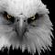 Profile Picture of Alex Korakis (@Raven66alex) on Youtube