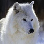 Profile Picture of dillon englert (@dillon.englert) on Instagram