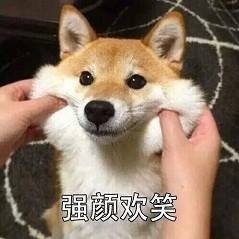 Profile Picture of Lora-Wang (@LoraWang20) on Twitter