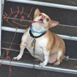 Profile Picture of bryan , maximus , Nathan (@wealldiedandnowweareshitty) on Instagram