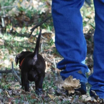 Profile Picture of Raymond Sapp (@RaymondSapp8) on Twitter