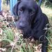 Profile Picture of Erin Mann-Connolly (@erinc3177) on Pinterest