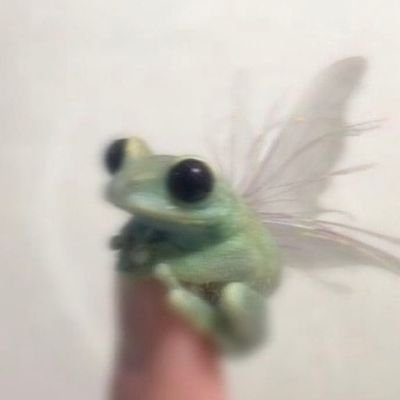 Profile Picture of Sangwoos Wife (@MartaWincheste2) on Twitter