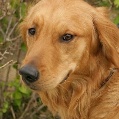 Profile Picture of Jared Fry (@friesandweb) on Twitter