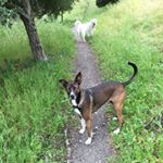 Profile Picture of Doug McFarling (@dmc_sb) on Instagram