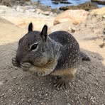 Profile Picture of Andrea Doerner (@andrea.doerner.146) on Facebook