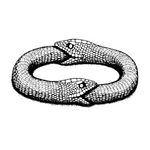 Profile Picture of Mario Perdomo (@marioteperdomo) on Instagram