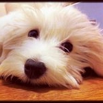 Profile Picture of Ruby Lowery (@eggedba) on Instagram