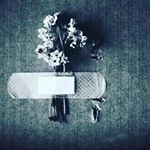 Profile Picture of jerry__klein (@jerry__klein) on Instagram