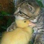 Profile Picture of Paul Botros (@pbotros22) on Instagram