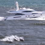 Profile Picture of Chris Mcconkey (@chris.mcconkey.1) on Facebook