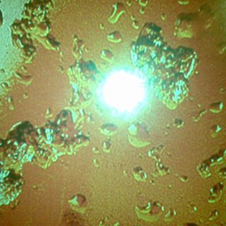 Profile Picture of Nicholas Menezes (@nicholas.menezes.77) on Facebook