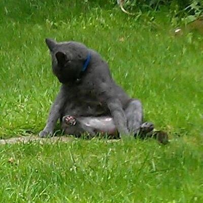 Profile Picture of Amanda (@amanda_seddon) on Twitter