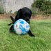 Profile Picture of Ruby Higgins (@Ruby-Higgins) on Facebook