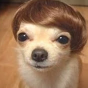 Profile Picture of Jonathan Mosquera (@jonathanmosquera9587) on Youtube