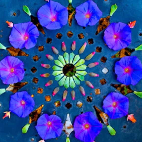 Profile Picture of Justine Hollinger (@jhollinger76) on Poshmark