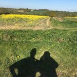 Profile Picture of Cindy Sharp (@countrycottagecindi) on Instagram