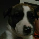 Bobby Mangrum - Instagram Profile Picture of Bobby Mangrum (@bobby.mangrum.9406) on Instagram