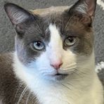 Profile Picture of Daniel Dreese (@Daniel-Dreese) on Facebook