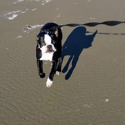 Profile Picture of Robert Reeder (@RobertR50797302) on Twitter