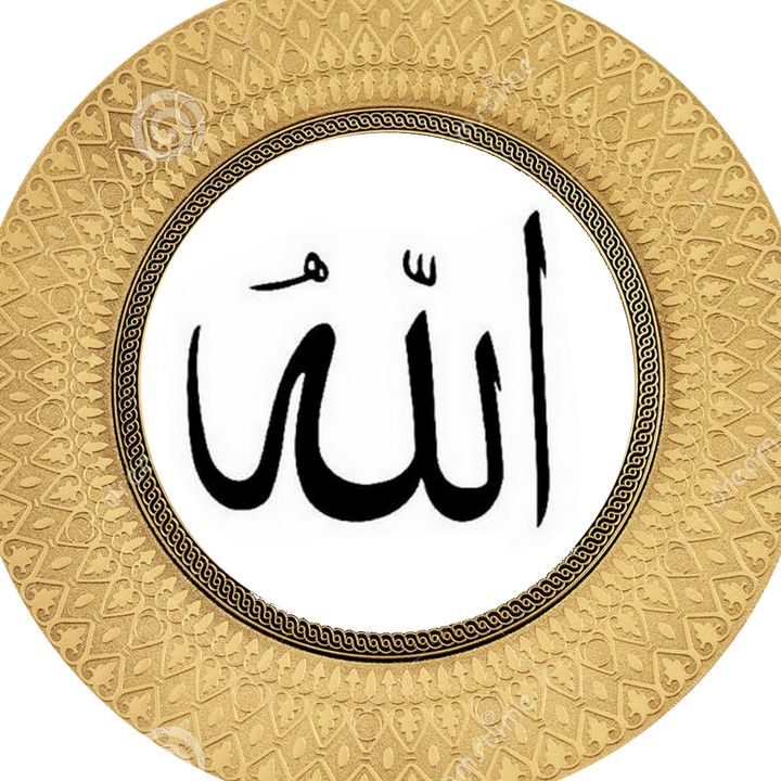 rosa monde روزا - Tiktok Profile Picture of rosa monde روزا (@rosa.monde) on Tiktok