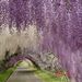 Profile Picture of Linda Pino Threadgill (@lthread) on Pinterest