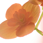 Profile Picture of Casey Clark (@caseyclarkjr1) on Flickr