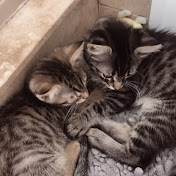 Profile Picture of Ian Givens (@iangivens3854) on Youtube