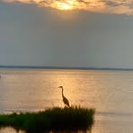 Profile Picture of Chris Maliszewski (@chris.maliszewski.98) on Facebook