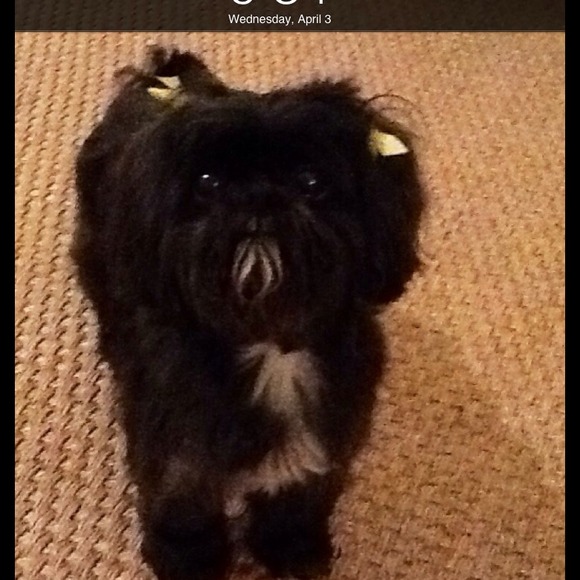 Profile Picture of Cindy Dodson (@cici105) on Poshmark