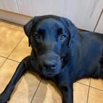 Profile Picture of Mark Wratten (@Mark-Wratten) on Facebook