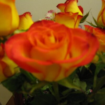 Profile Picture of Kay Reid (@upc8msq) on Twitter