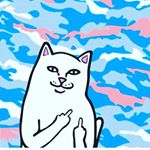 Profile Picture of 🤬 🤫 (@jesse_bowman74) on Instagram